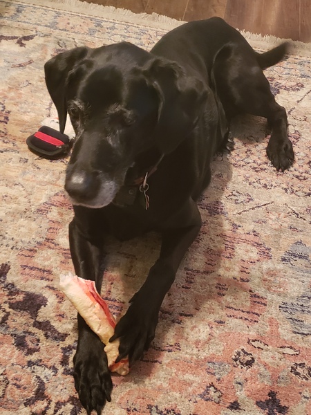 Dexter