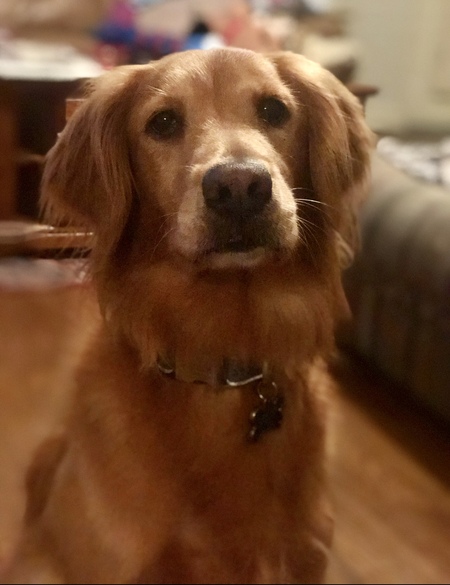 Bailey