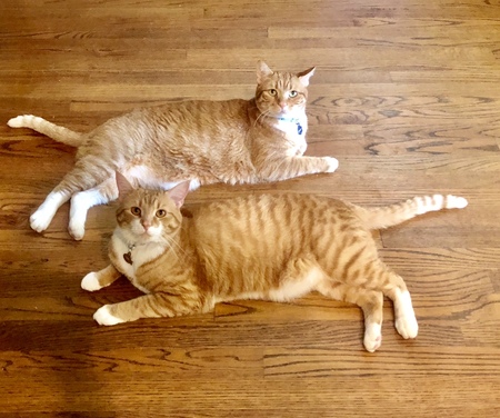 Max & Thor
