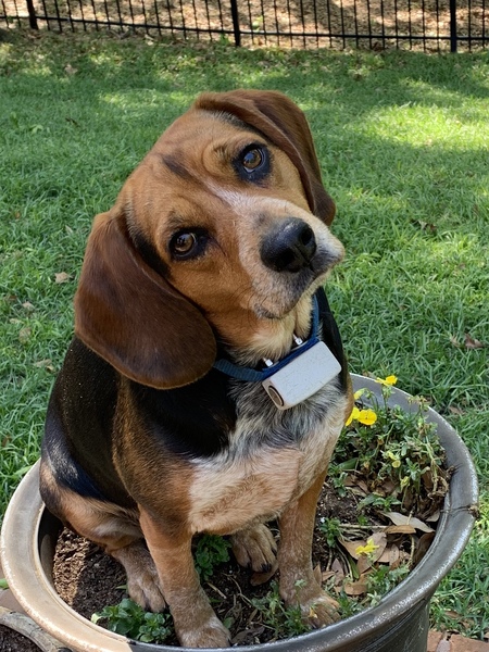 Tucker