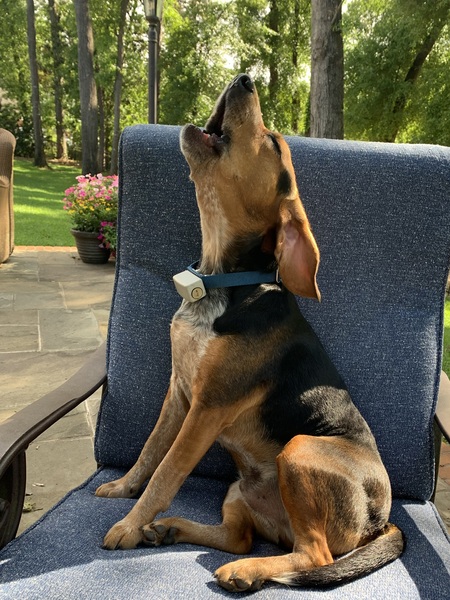 Tucker
