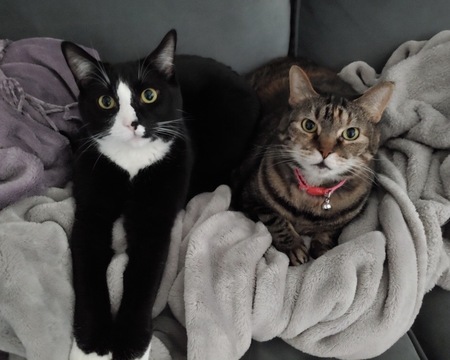 Thunder and Makiko