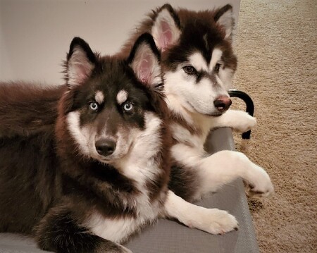 Piper and Leo