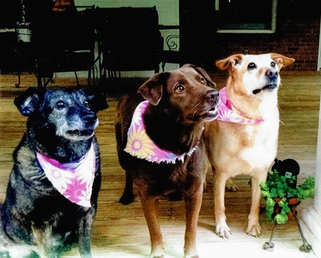 Angel, Faith & Sandy