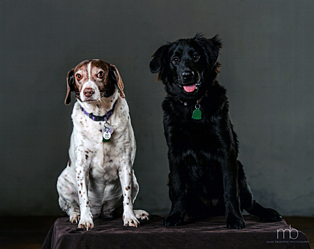 Maggie & Hester