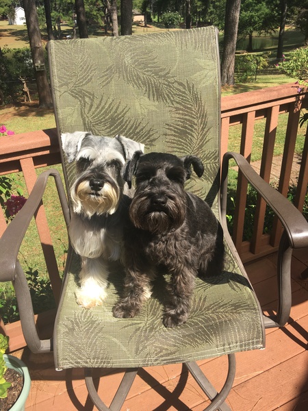 Dolly & Molly