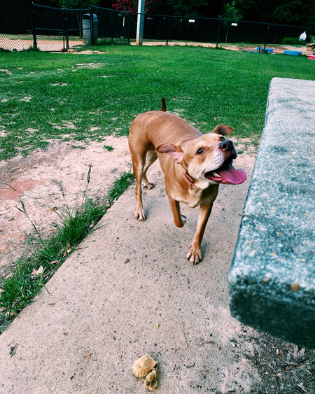 Amy