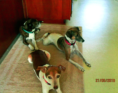 Nubb, Cool & Ella