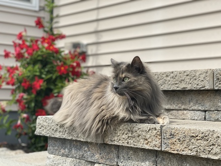 Gabby