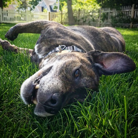 Buster