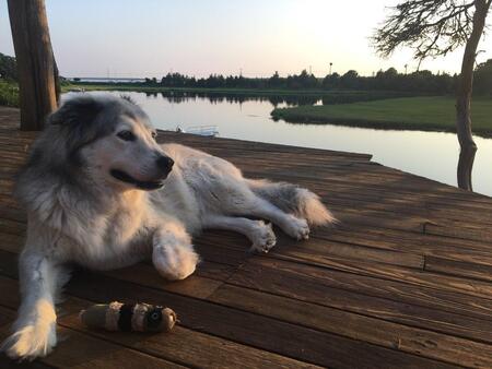 Molly