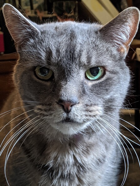 Mica