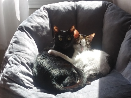 Marcus and Charlie
