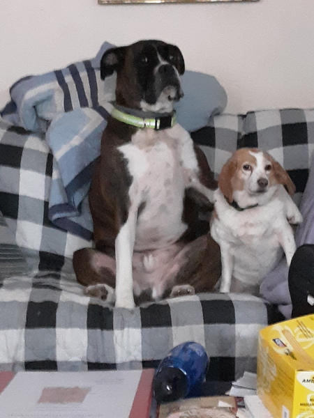 Bodie and Betsy