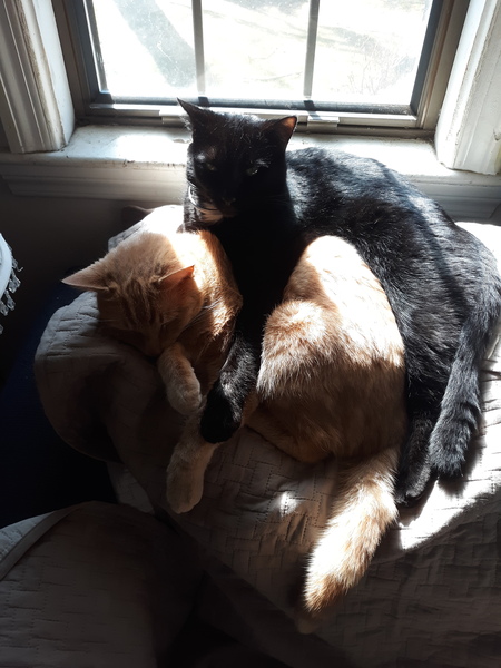Blarry and Little Larry
