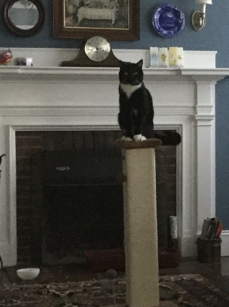 Milo