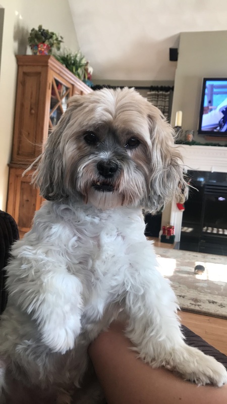 Sammy