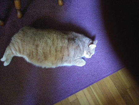 Thomas