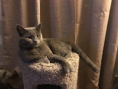 Sammy