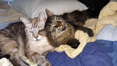 Minion and Buzzy Bumbletoes