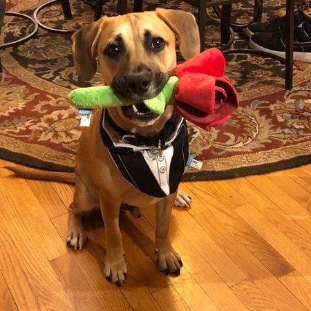 Duke