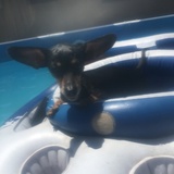 Entry image for Martha/ Wingnut