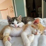 Entry image for Brothers Gus and Leo