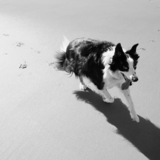 Entry image for Darby
