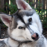 Entry image for Oona