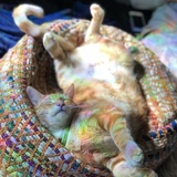 Entry image for Pickles