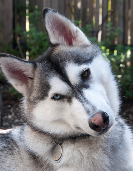 Entry image for Oona. Clicking this image will show a larger photo
