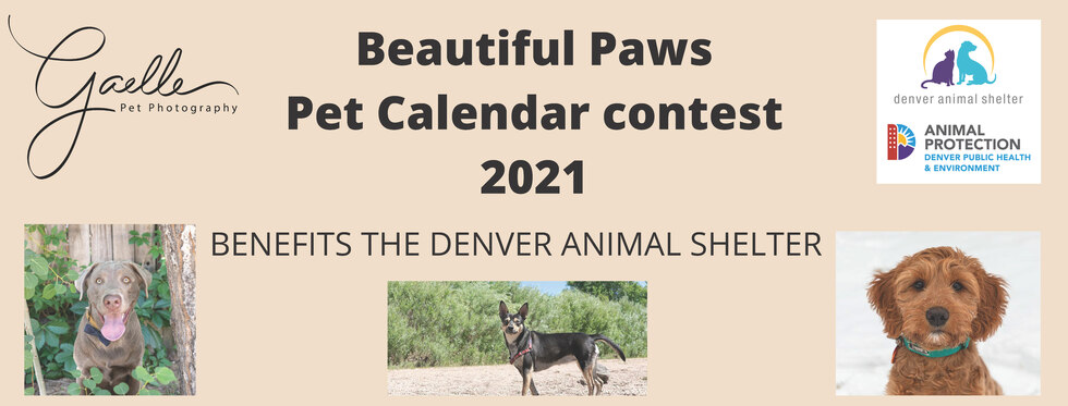 Banner for Beautiful Paws Pet Calendar Contest 2021