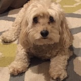 Entry image for Ernie 