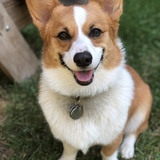 Entry image for Lucky