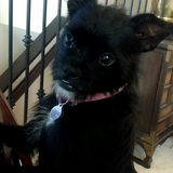 Entry image for Pixie