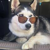 Entry image for Juneau