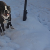 Entry image for Maggie Mae