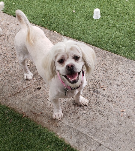 Entry image for Mattie. Clicking this image will show a larger photo