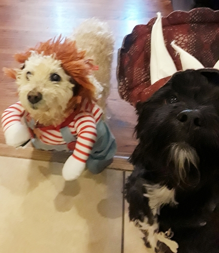Entry image for Bear & Basil. Clicking this image will show a larger photo