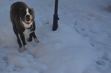 Entry image for Maggie Mae. Clicking this image will show a larger photo