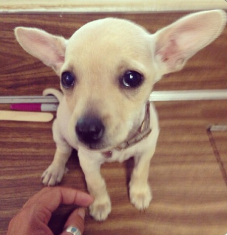 Baby Lucy