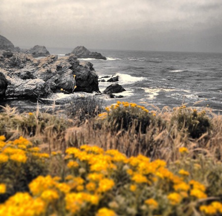 Monterey 