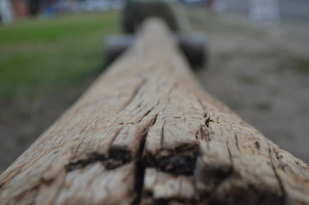 Ladybug's Log