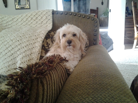 Rusty relaxing