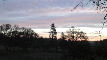Peaceful