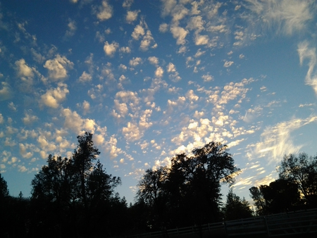 Beautiful Skies