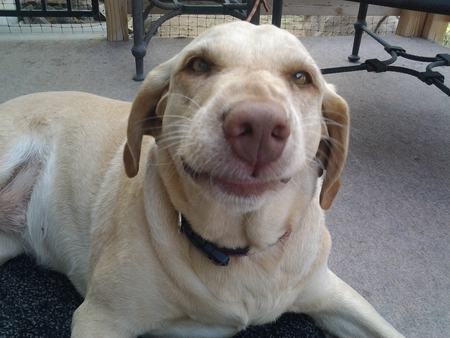 smile for the camera