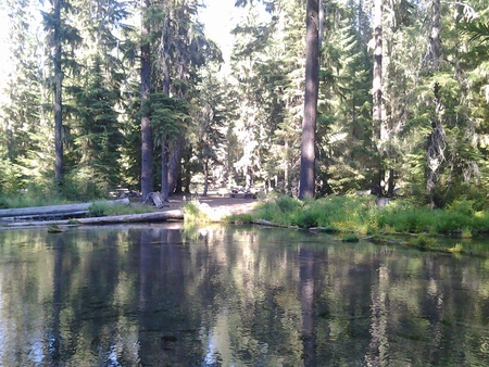 Oregon Campsite