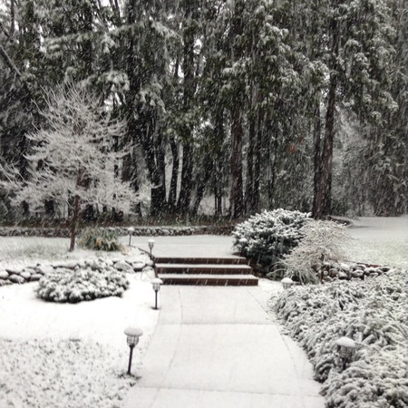 Winter Wonderland 