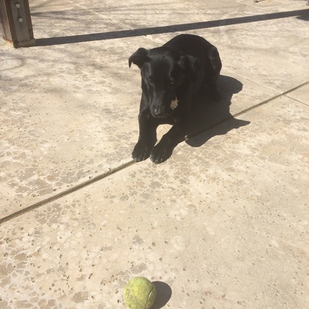 Wanna play?